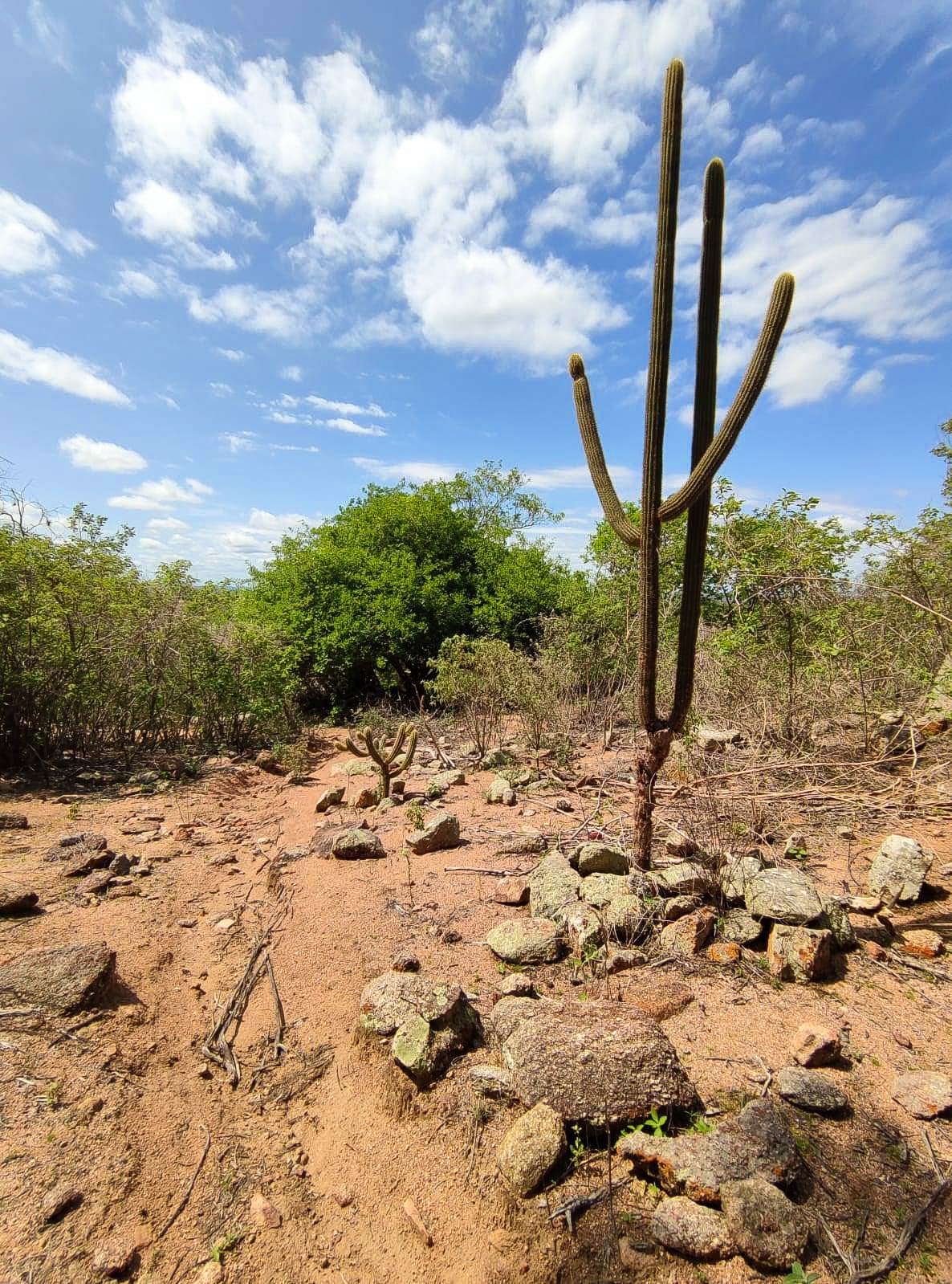 Expedição Caatinga | Extremo Tour